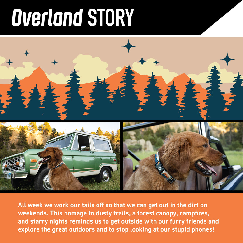 Adjustable Dog Walking Harness in Abrasion-Resistant Webbing for Secure Everyday Outdoor Adventures source image 2