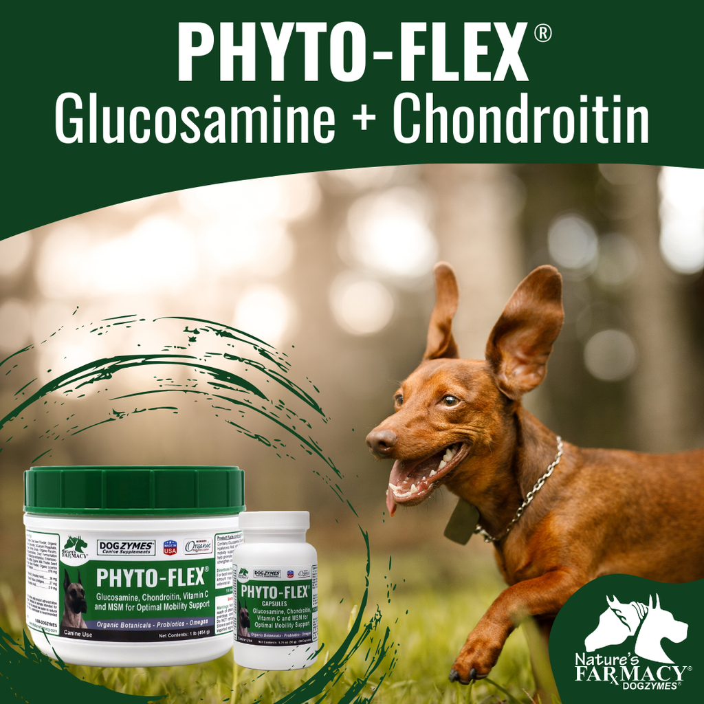 Dog Joint Support Supplement for Daily Mobility, Glucosamine and MSM Powder or Capsule Formats source image 2