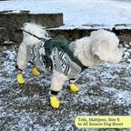 All-Season Dog Boots, Flexible Grip Soles in a Lightweight Set of Four for Hot Pavement and Winter Walks source image 2