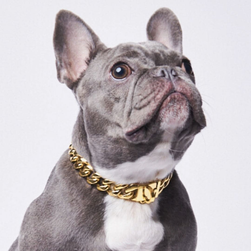 Gold Cuban Link Dog Collar in Nine Lengths from 9.8 to 25.6 Inches for a Bold Everyday Look product image 2