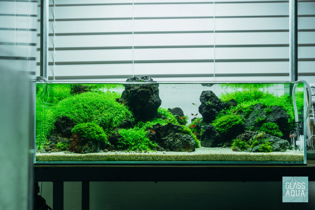 Rimless Shallow Aquarium Tank, Low-Iron Open-Top Design for Planted or Reef Aquascapes from 0.5 to 68.4 Gallons source image 2