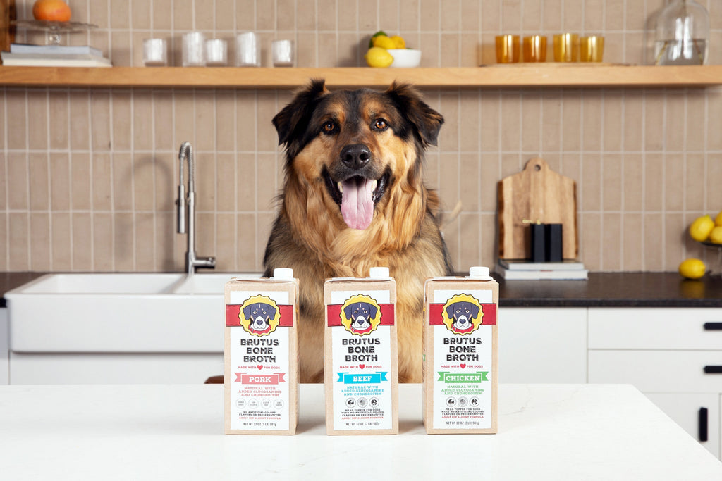 Beef Bone Broth Meal Topper for Dogs, All-Natural Superfood Support in Two-Pack or Six-Pack Sizes source image 2