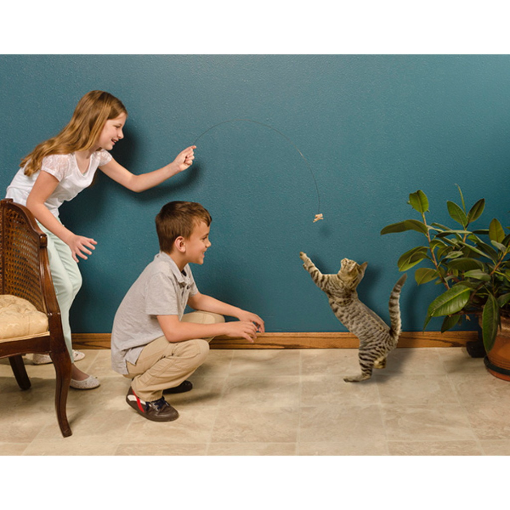 Interactive Cat Teaser Toy with Spring Steel Wire and Rolled Cardboard Lure for Supervised Play source image 2
