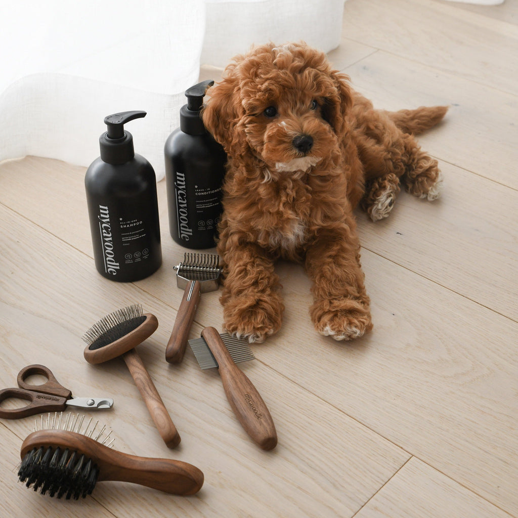 Dog Grooming Tool Set for Cavoodles, Five-Piece Brush, Comb, Dematting and Nail Care Kit in a Storage Box source image 2