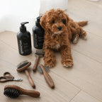 Dog Grooming Tool Set for Cavoodles, Five-Piece Brush, Comb, Dematting and Nail Care Kit in a Storage Box source image 2