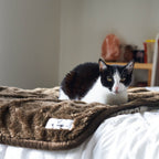 Waterproof Pet Blanket with Absorbent Core and Reinforced Edge Binding in Four Washable Sizes source image 2