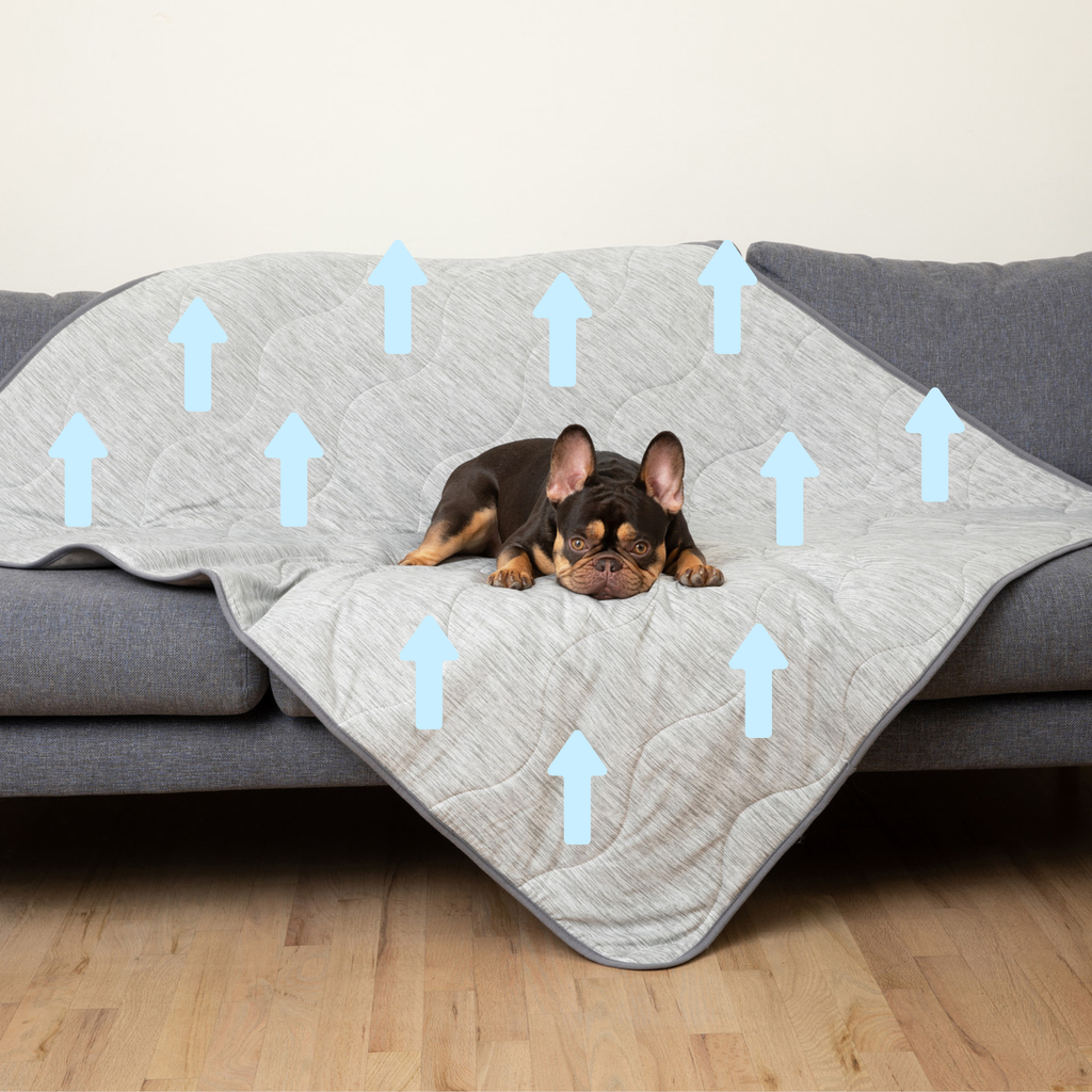 Cooling Waterproof Dog Blanket in Arctic Grey for Indoor Comfort and Furniture Protection, Two Sizes source image 2