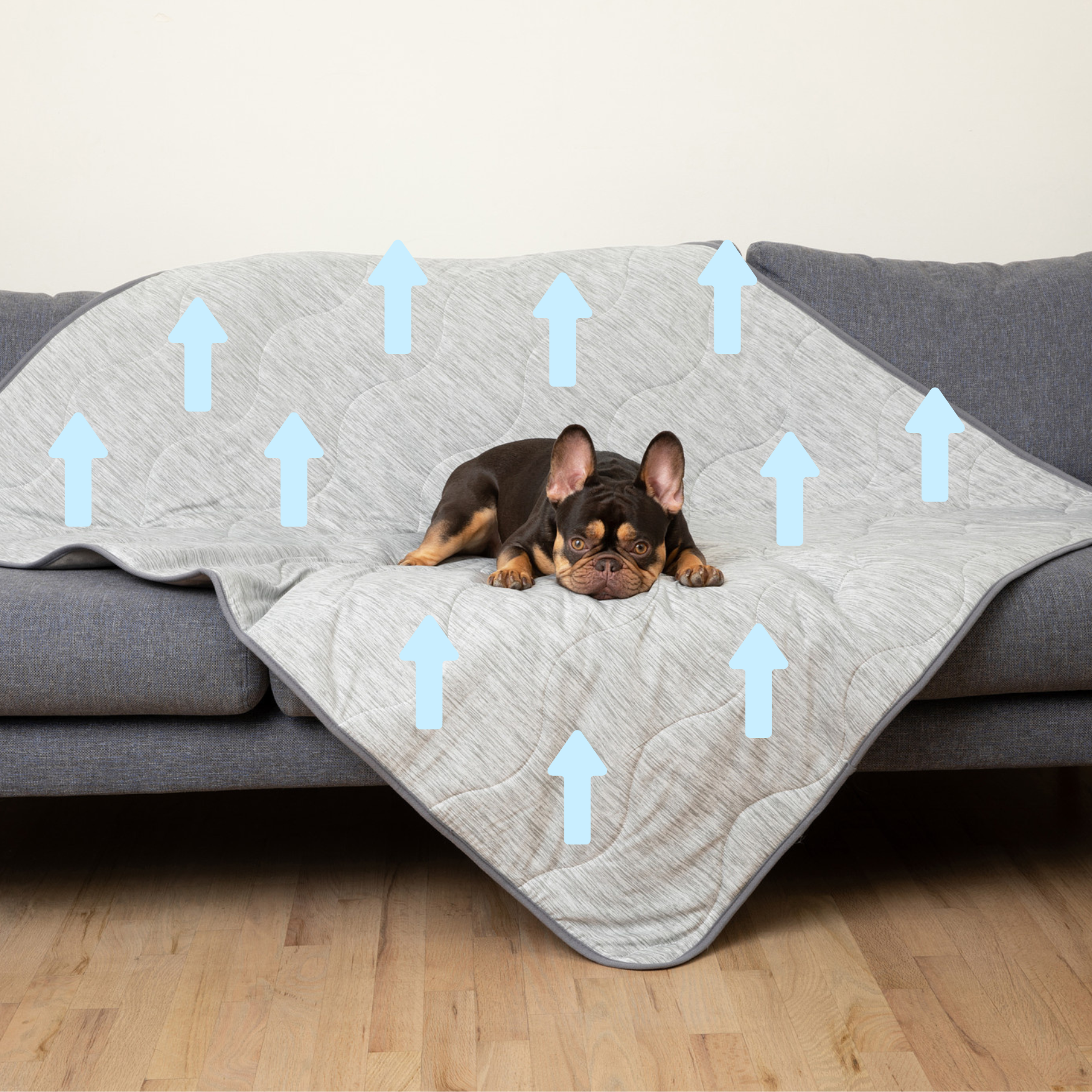 Cooling Waterproof Dog Blanket in Arctic Grey for Indoor Comfort and Furniture Protection, Two Sizes source image 2