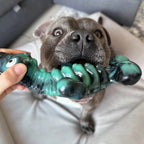 Nylon Dog Chew Toy Shaped Like a Sea Creature, Firm Playtime Design for Enthusiastic Chewers source image 2