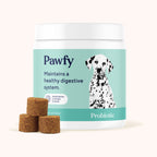 Daily Probiotic and Multivitamin Chews for Dogs, Easy Chew Format for Everyday Wellness Support product image 2