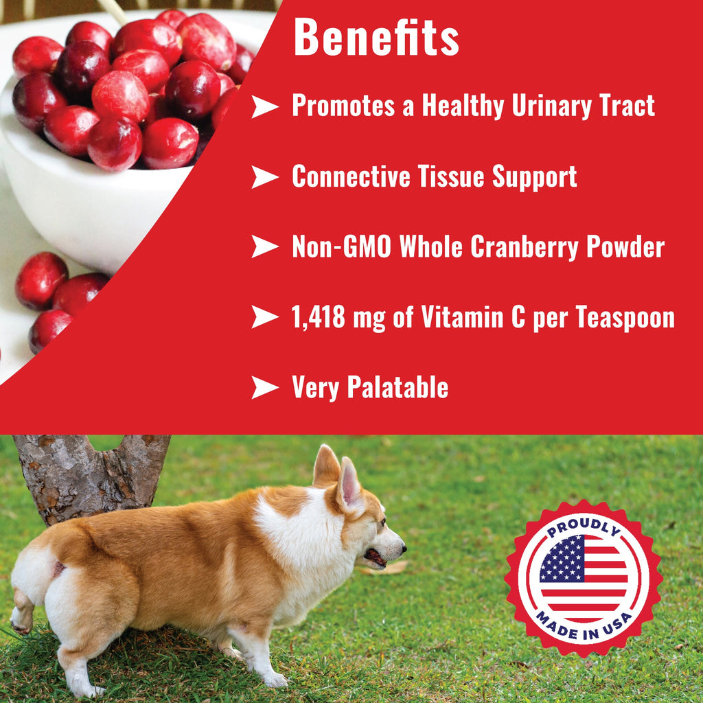 Dog Vitamin C Supplement in Powder or Capsule Form, Cranberry Blend for Daily Mealtime Feeding source image 2