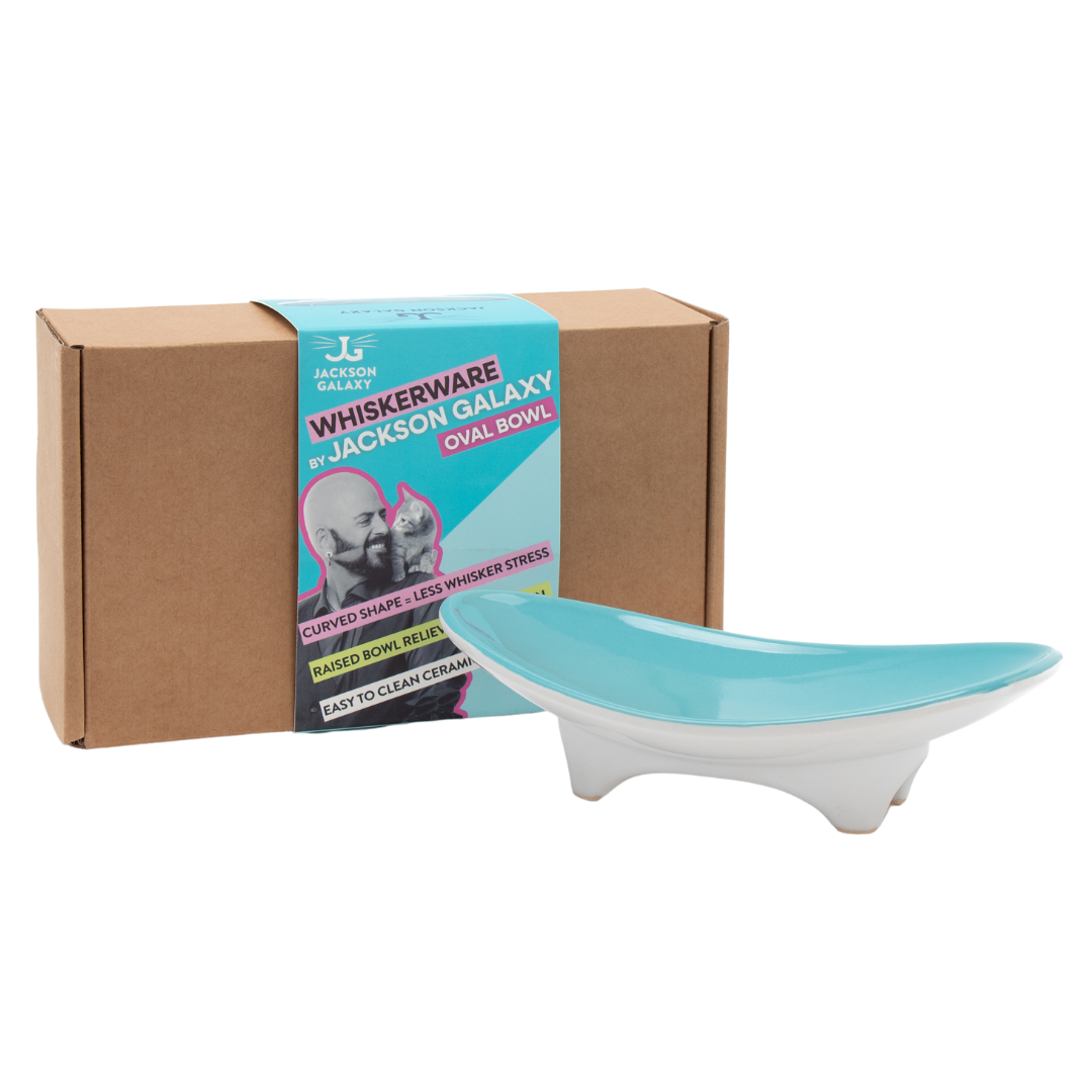 Elevated Oval Ceramic Cat Bowl with Wide Whisker-Friendly Shape for Wet or Dry Food and Easier Mealtimes source image 2