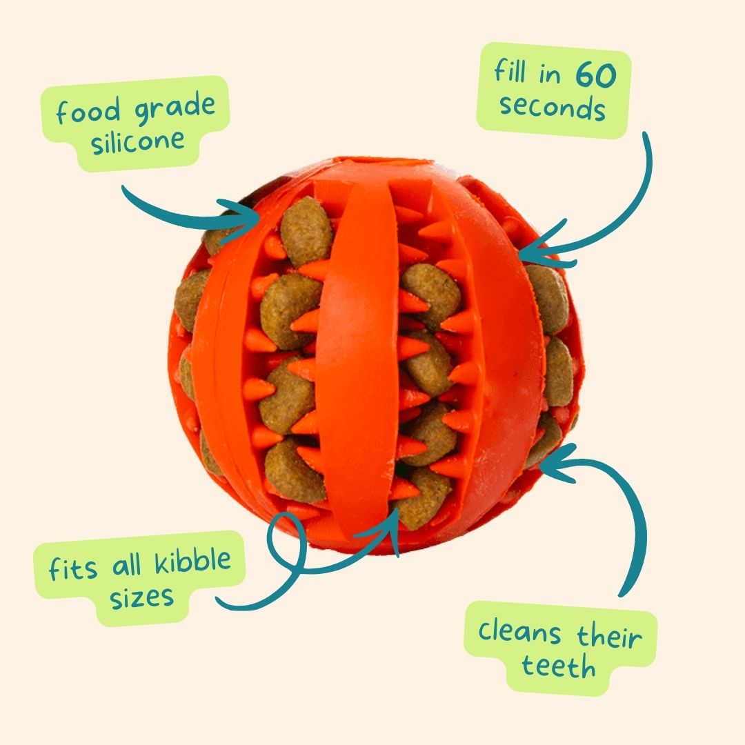 Natural Rubber Treat-Dispensing Dog Toy, Flexible Dental Chew Ball for Fetch in 6 cm and 7 cm Sizes source image 2