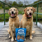 Dog Jerky Chews Made from Beef Gullet, 1 lb Bite-Size Treats for Daily Rewards and Joint-Focused Care source image 2