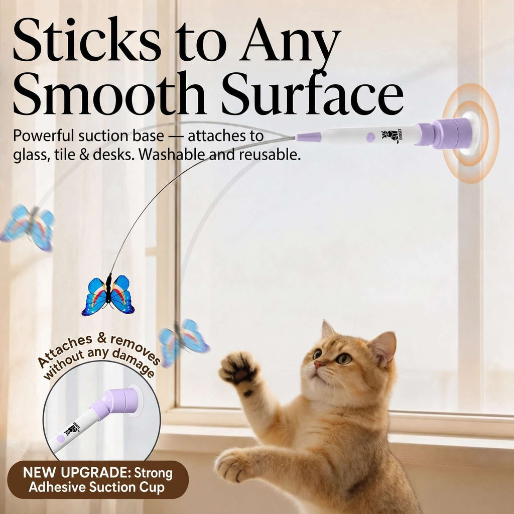 Automatic Butterfly Cat Toy, Rechargeable 360-Degree Chaser for Indoor Exercise with Suction-Cup Mount source image 2