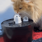 Ceramic Cat Water Fountain, 50-Ounce Quiet Bubbling Dispenser with Automatic Safety Shutoff source image 2