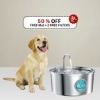 Stainless Steel Filtered Dog Water Fountain, Quiet USB-Powered Hydration Station in 3.2L and 7L Sizes source image 2