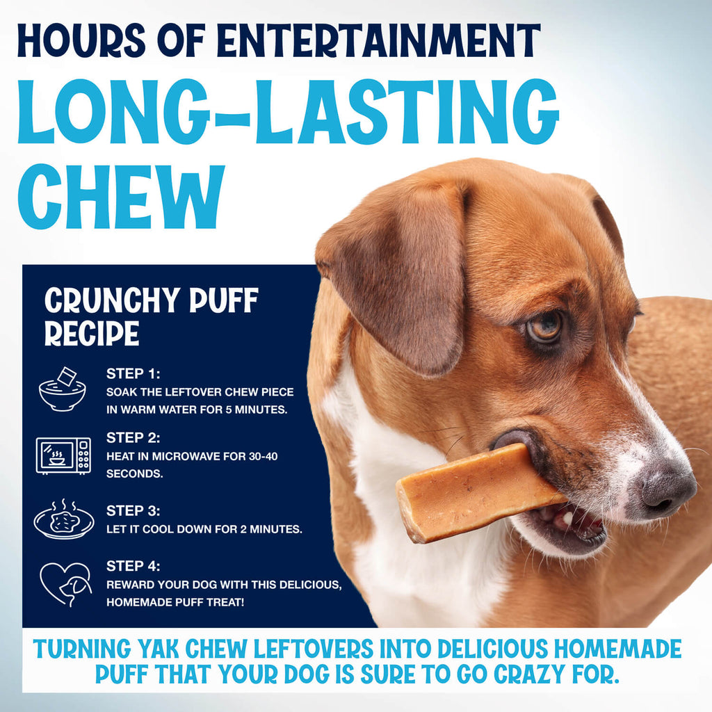 Himalayan Yak Cheese Dog Chews, Three-Ingredient Long-Lasting Milk Sticks in 3-Pack, 5-Pack or 3 lb Sizes source image 2