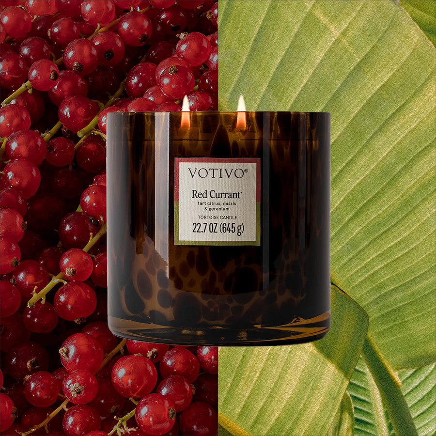 Tortoiseshell Scented Candle in Red Currant, 22.7 oz Soy Blend Wax with Paper and Cotton Wicks source image 2