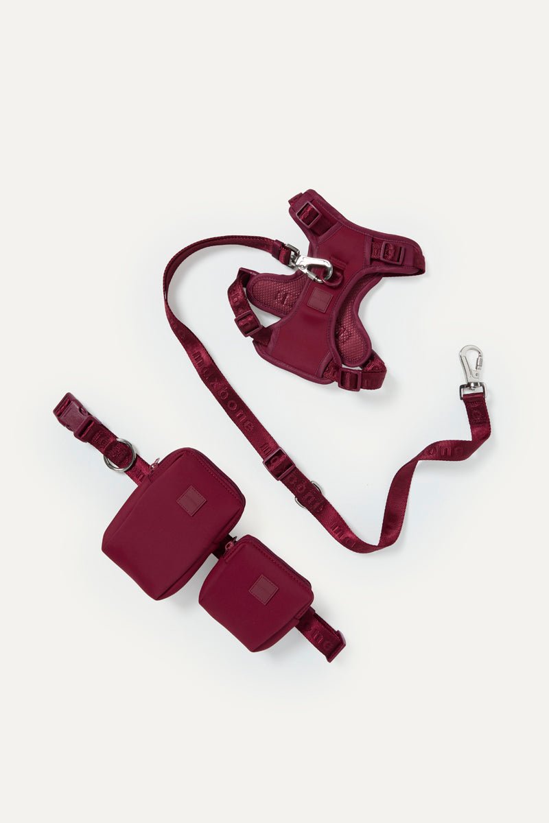 Hands-Free Dog Walking Set for Waist or Shoulder Wear, Neoprene Harness and Compact Pouch Bundle source image 2