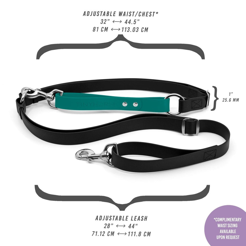 Hands-Free Dog Walking Belt with Waterproof Adjustable Fit and General or Heavy-Duty Clips in 12 Colors source image 2