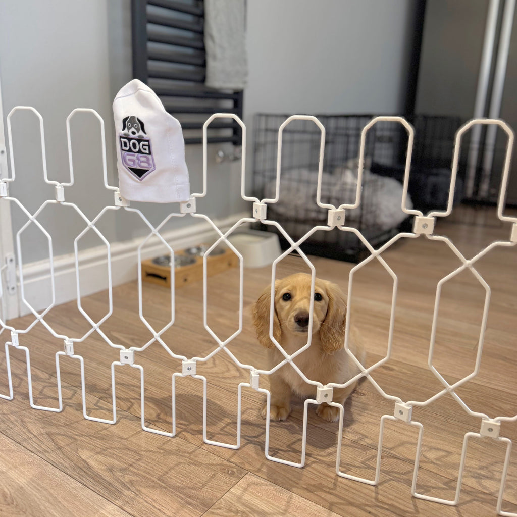 Adjustable Dog Safety Gate for Doorways and Stairs, Fold-Away Steel Design in Three Heights and Width Ranges source image 2