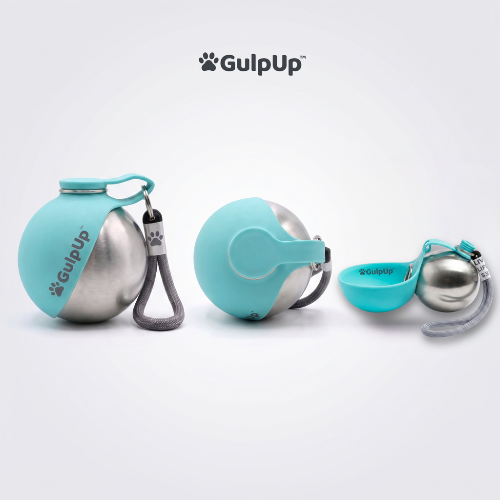 Portable Dog Water Bottle and Snack Bowl, Leak-Proof Clip-On Design for Hands-Free Walks and Travel source image 2