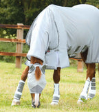 Horse Fly Boots in Breathable 3D Sports Mesh, Ventilated Leg Protection for Front or Hind Use source image 2