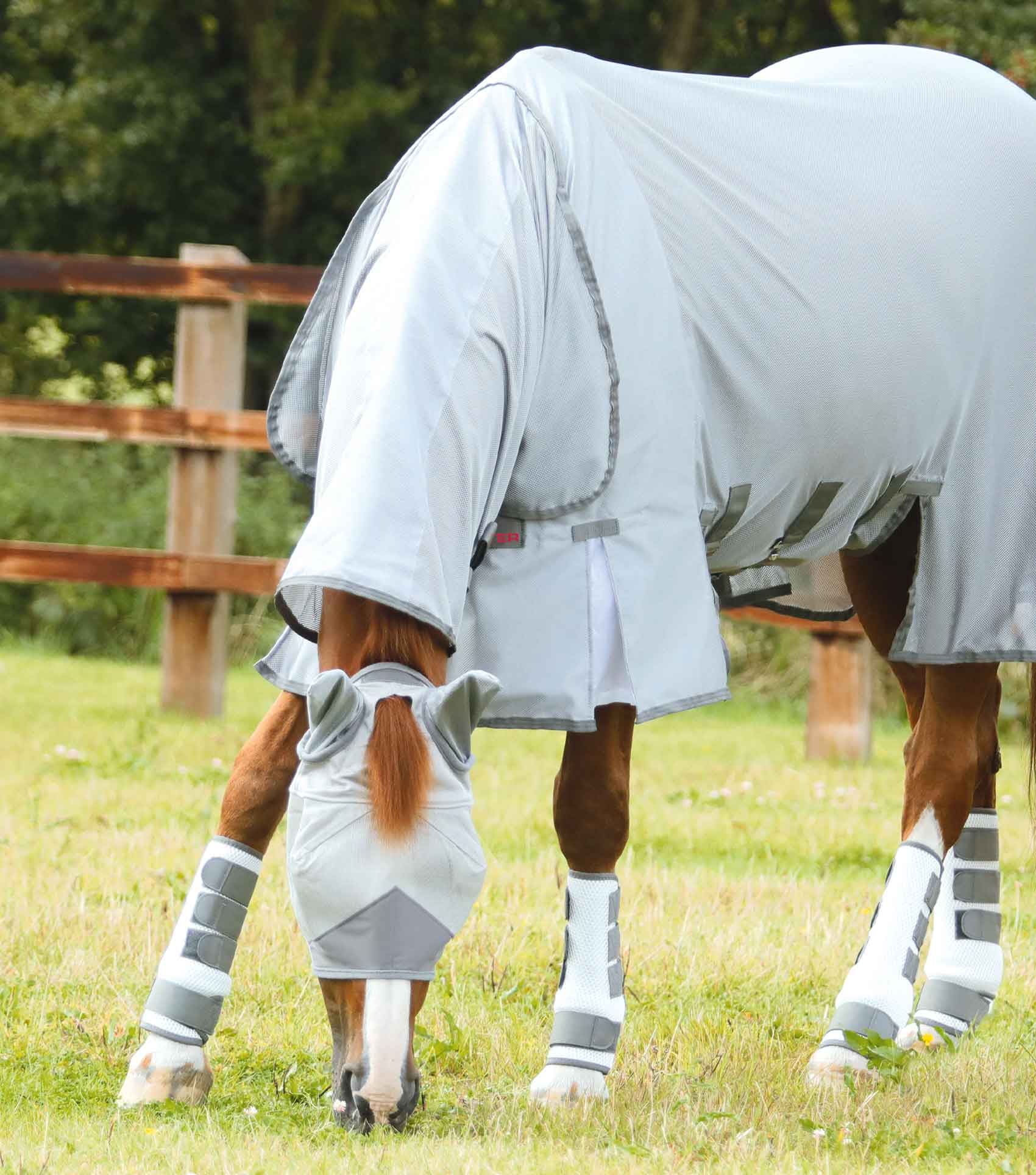 Horse Fly Boots in Breathable 3D Sports Mesh, Ventilated Leg Protection for Front or Hind Use source image 2