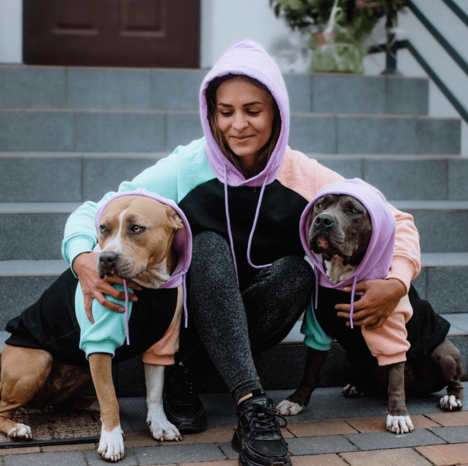 Color Block Fleece Hoodie for Adults with Four-Way Stretch and Eight Coordinated Designs for Pet Matching product image 2