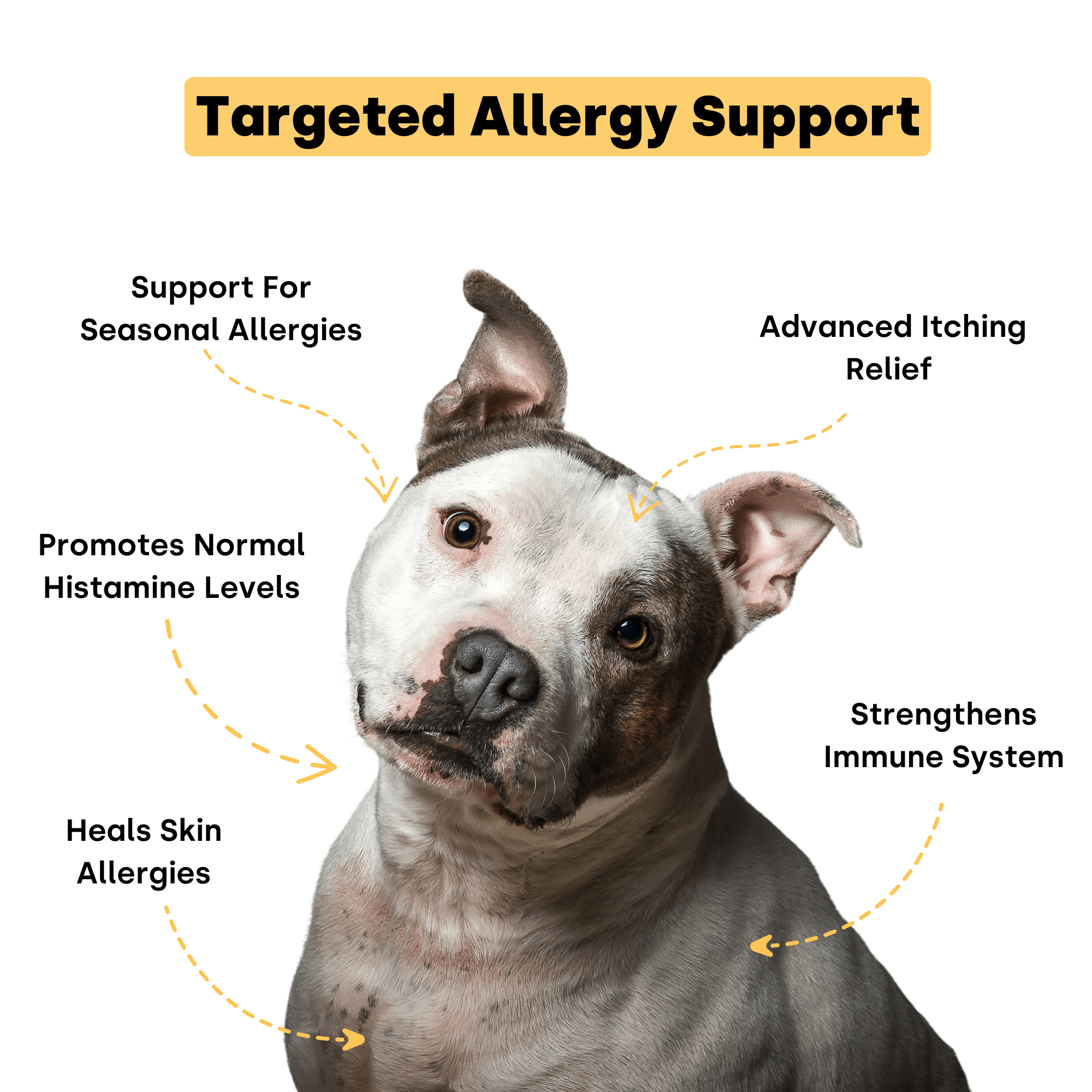 Dog Itch and Allergy Support Chews for Skin and Immune Response, Offered in One- to Six-Pack Quantities source image 2