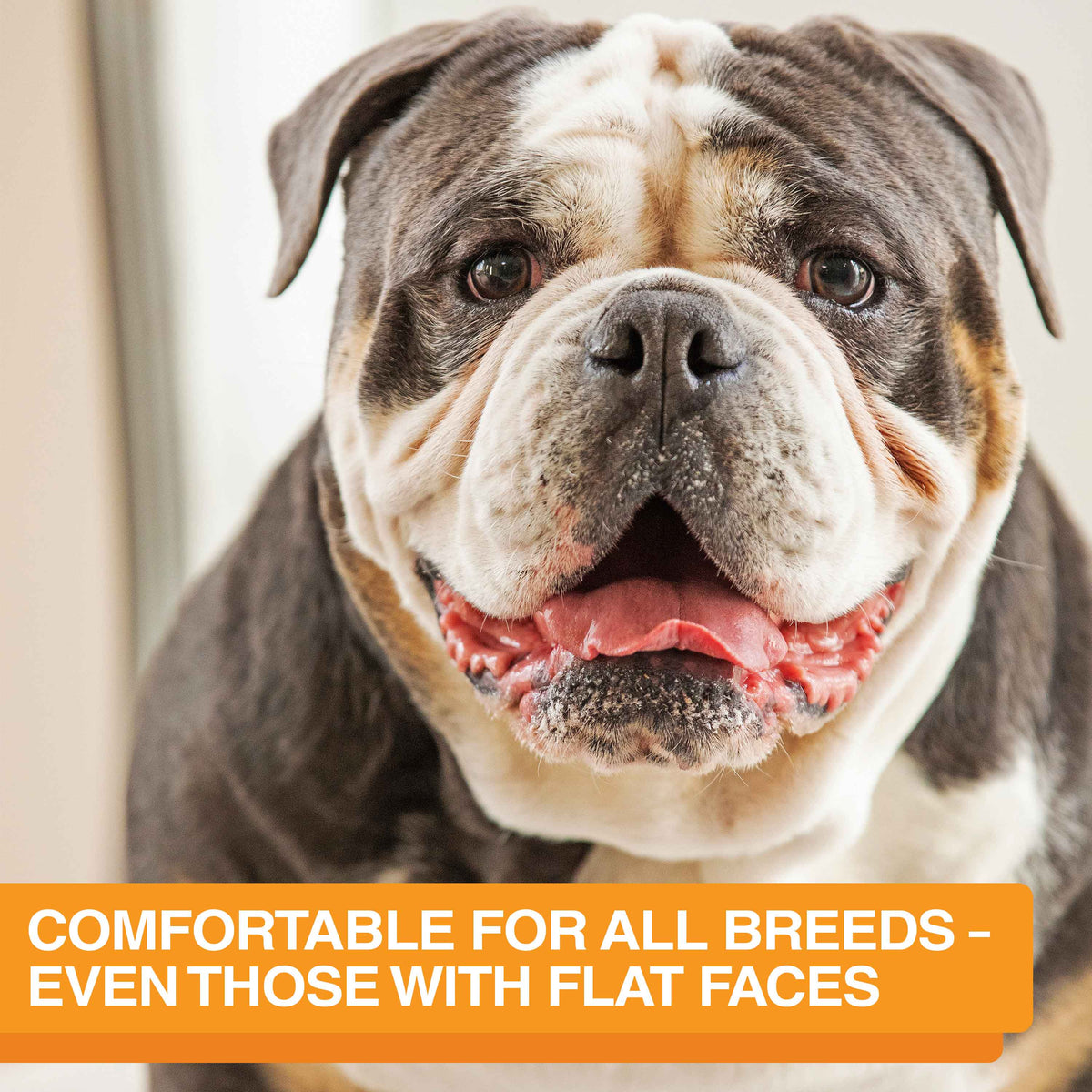 Slow Feeder Dog Bowl, Nine-Peak Non-Skid Two-Cup Design for Flat-Faced and Fast-Eating Dogs source image 2