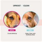 Pet Eye Cleaning Wipes for Tear Stains and Daily Debris, 100 Wipes per Pack with Shea Butter and Jojoba Oil source image 2