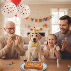 Dog Birthday Cake and Party Kit, Complete Bone-Shaped Baking and Decorating Set for a Special Celebration source image 2