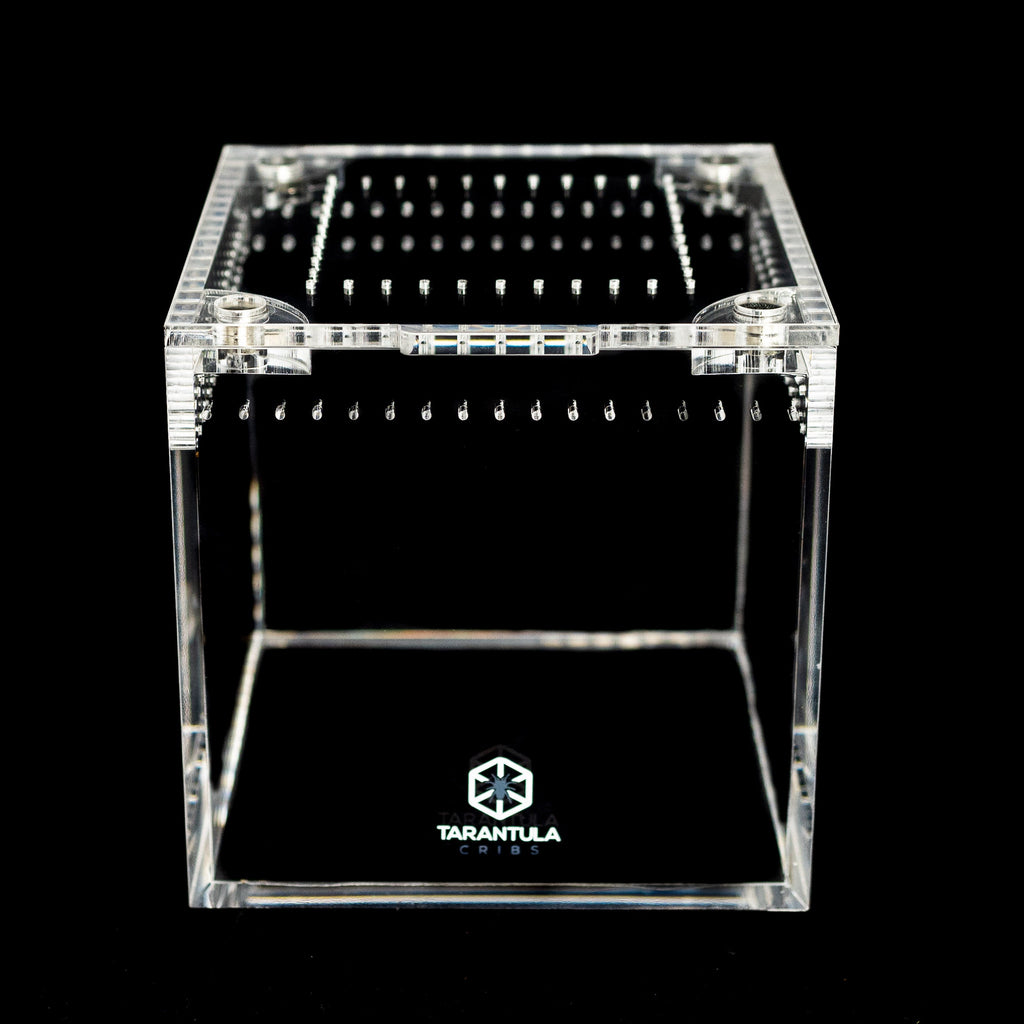 Four-Inch Acrylic Tarantula Terrarium, Compact Cube in Standard, Mesh, Max-Vent and Canopy Lid Styles source image 2