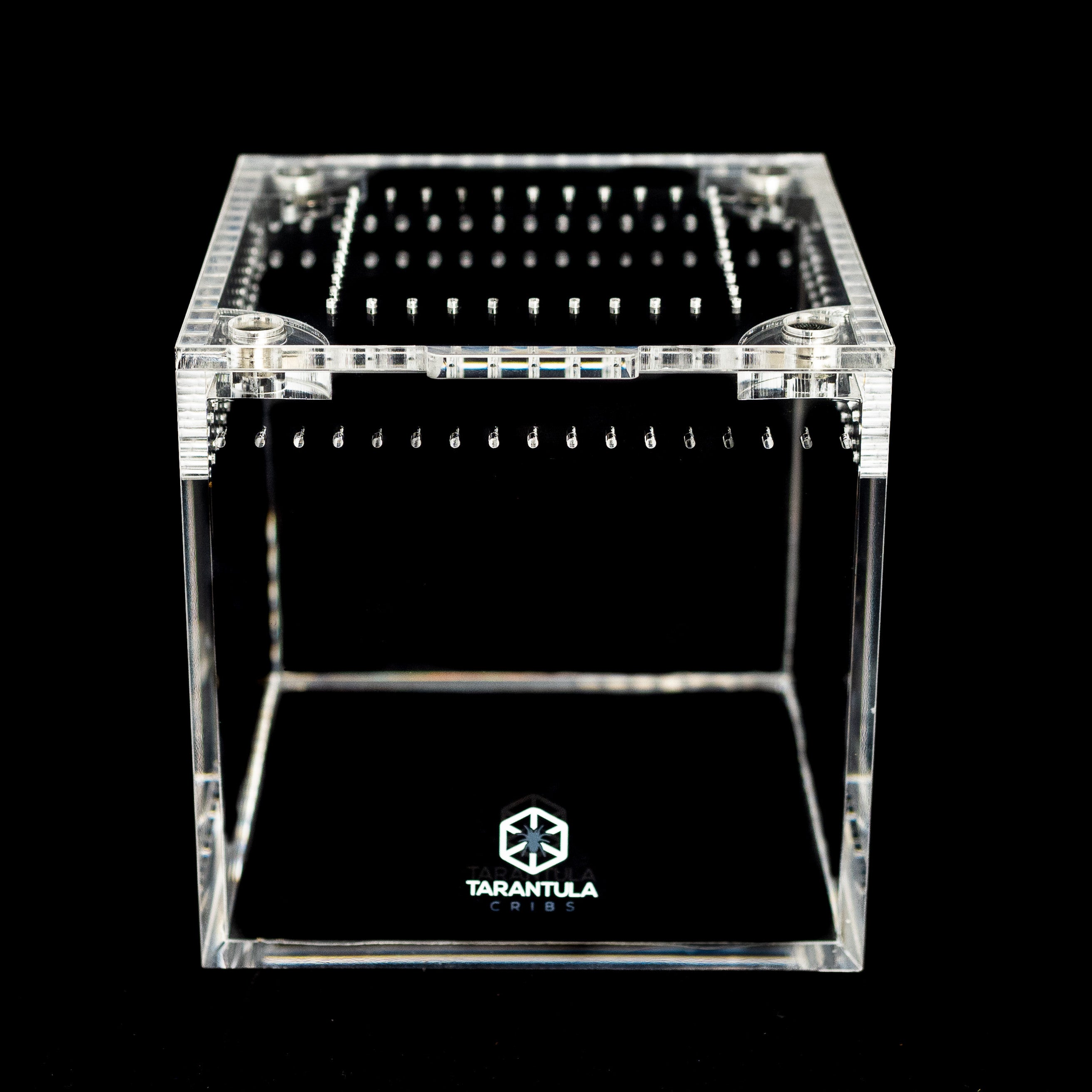 Four-Inch Acrylic Tarantula Terrarium, Compact Cube in Standard, Mesh, Max-Vent and Canopy Lid Styles source image 2