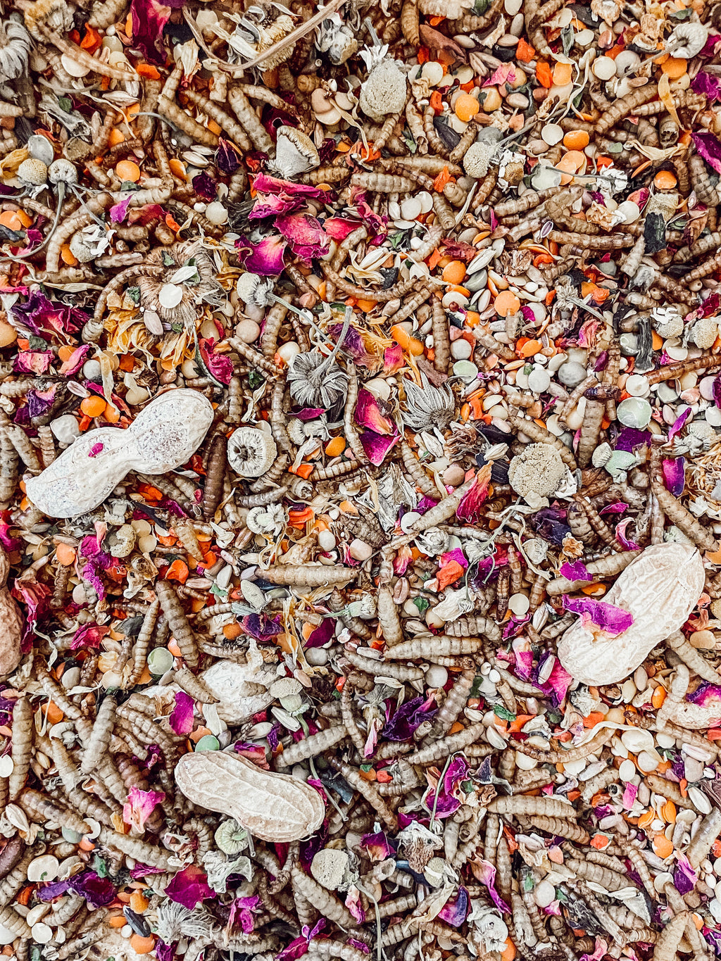 Organic Hamster and Gerbil Food Mix, 1 lb Blend of Seeds, Grains, Legumes and Tea-Grade Flowers source image 2
