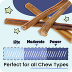 Spiral Bully Sticks for Dogs, Slow-Roasted Beef Pizzle Chews in 3, 10, 25 or 50 Count Packs source image 2