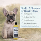 Unscented Organic Dog Shampoo for Sensitive Skin, Aloe-Based Concentrate in Three Bottle Sizes source image 2