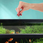Floating Fish Food Pellets for 1- to 4-Inch Community Fish, High-Protein Formula in Three Sizes source image 2