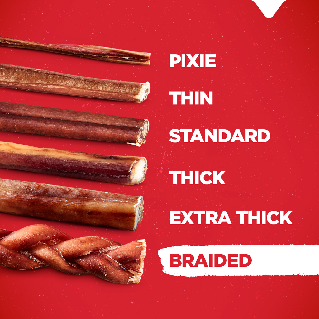 12-Inch Braided Bully Sticks for Heavy Chewers, All-Natural Beef Dog Treats in 5- or 10-Count Packs source image 2