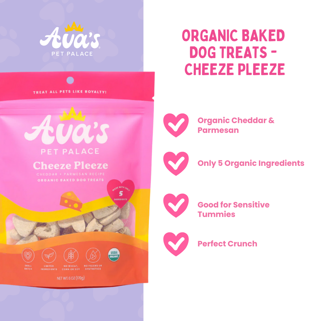 Organic Cheese Dog Treat Biscuits, Crunchy Heart-Shaped 6 oz Snacks with Cheddar and Parmesan source image 2