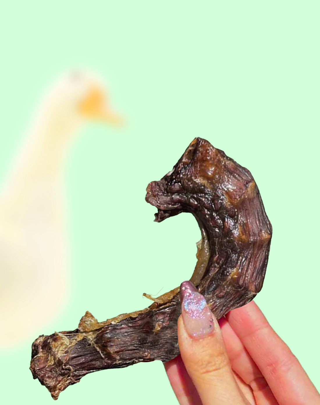 Dehydrated Duck Neck Dog Chews, Single-Ingredient Crunchy Treats in Medium 3-Piece or Large 5-Piece Bags source image 2