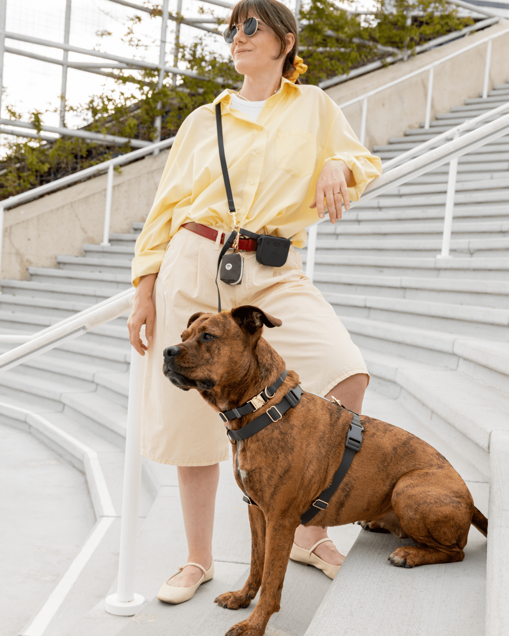 Hands-Free Dog Leash, Four-Way Convertible Crossbody and Waist Design in Standard or Wide Webbing source image 2