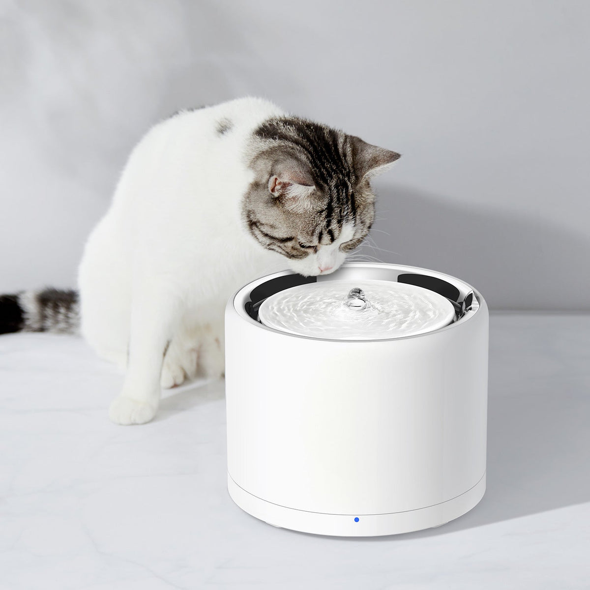 UVC Pet Water Fountain, Four-Stage Filter System Featuring a Wireless Pump and App-Connected Flow Modes source image 2