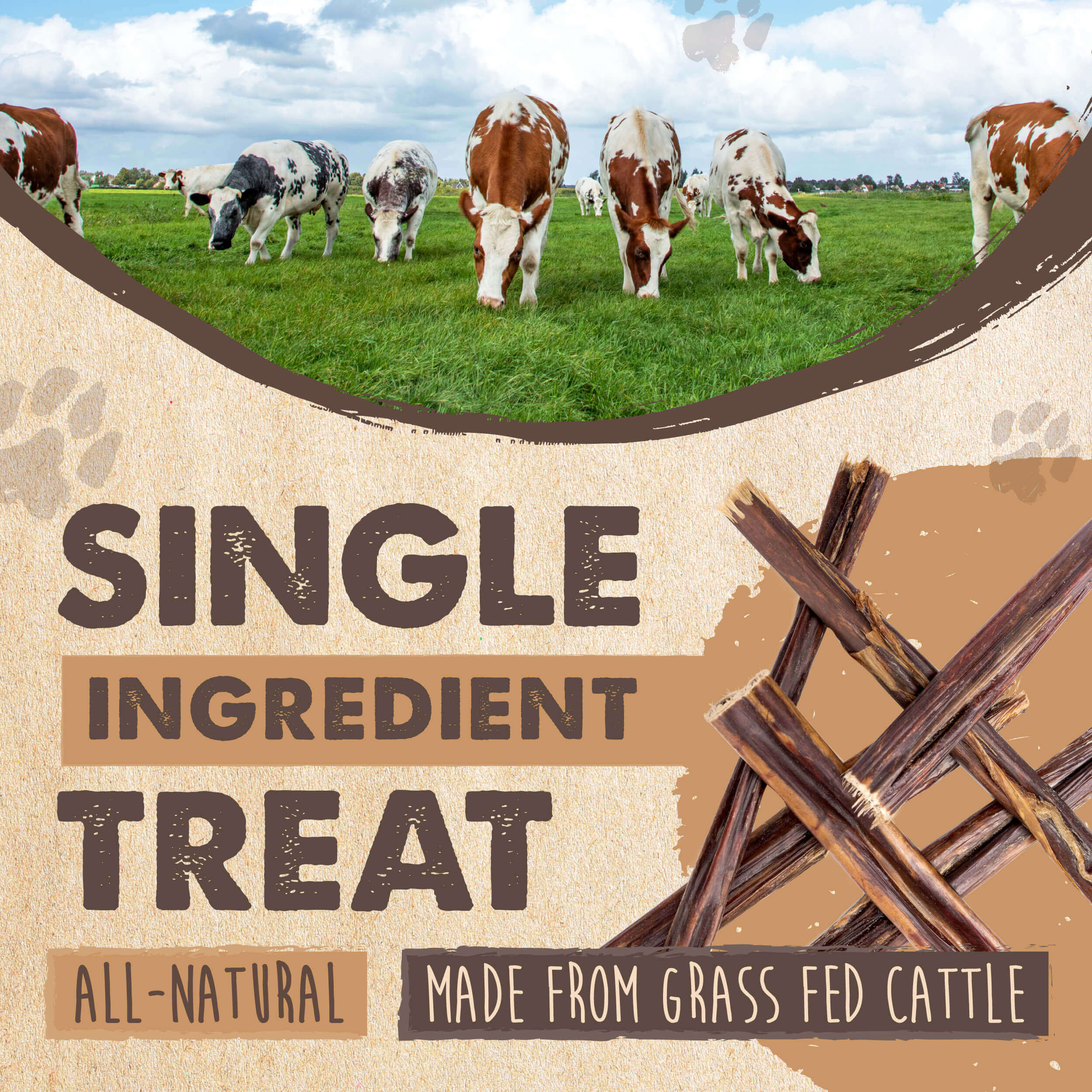 Single-Ingredient Beef Gullet Sticks for Dogs, 30-Pack Crunchy Chews for Puppies and Light Chewers source image 2