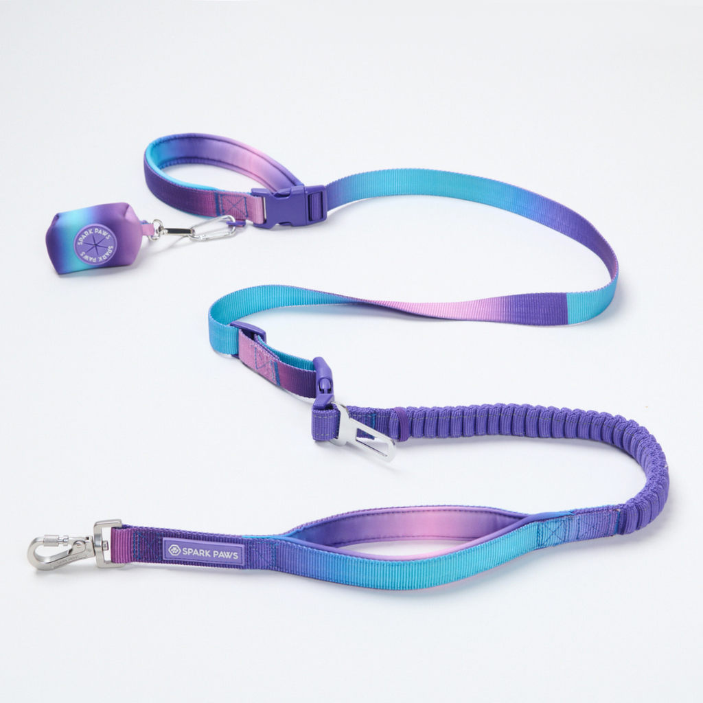 Hands-Free Dog Leash and Waste Bag Holder Set, Bungee Control and Dual Handles for Everyday Walks source image 2