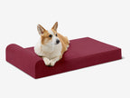 Orthopedic Dog Bed for Small and Medium Dogs, 4-Inch Layered Foam in Headrest and Sofa Styles source image 2