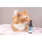 Liquid Vitamin B12 Supplement for Cats Supporting Immune, Nervous, Digestive and Cognitive Health product image 2