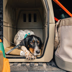 Orthopedic Dog Kennel Pad with 2-Inch Cooling Memory Foam and Ballistic Nylon Cover in Three Sizes product image 2